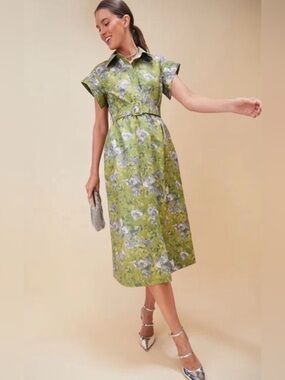 Tuckernuck NWT Chloe Midi Dress Green Gardens Button Down Collared Belted Sz M